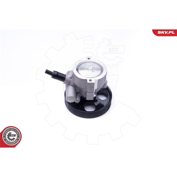 Servopump Esen skv 10SKV281 ESEN SKV