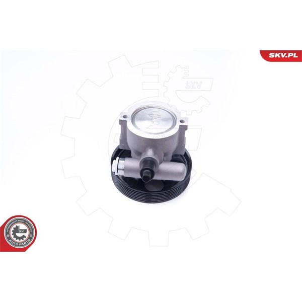 Servopump Esen skv 10SKV281 ESEN SKV