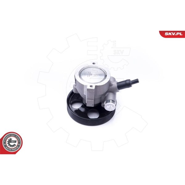 Servopump Esen skv 10SKV281 ESEN SKV