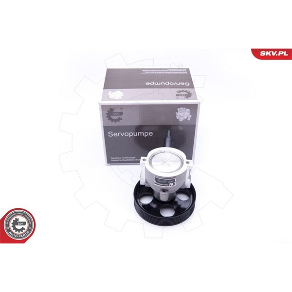 Servopump Esen skv 10SKV281 ESEN SKV