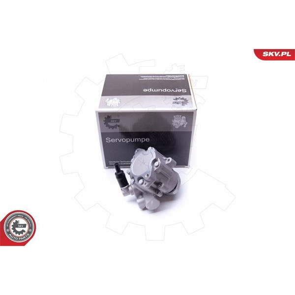 Servopump Esen skv 10SKV282 ESEN SKV