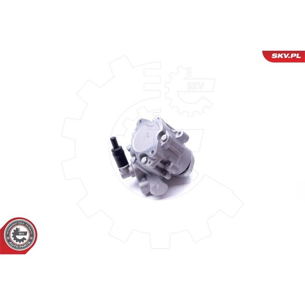 Servopump Esen skv 10SKV282 ESEN SKV