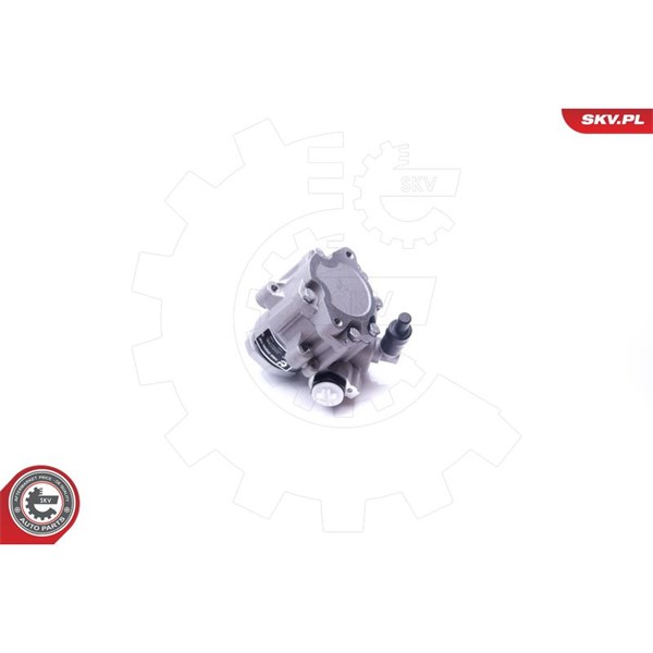Servopump Esen skv 10SKV282 ESEN SKV