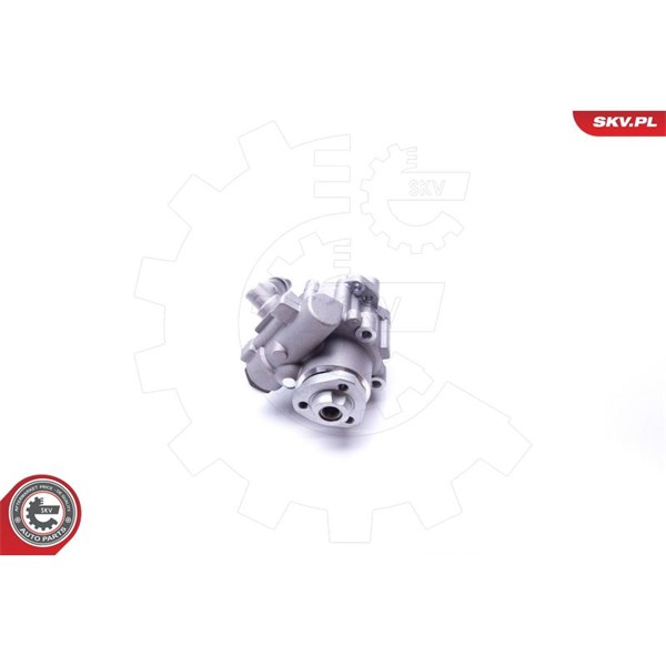 Servopump Esen skv 10SKV282 ESEN SKV