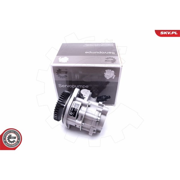 Servopump Esen skv 10SKV289 ESEN SKV