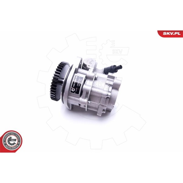 Servopump Esen skv 10SKV289 ESEN SKV