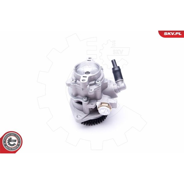 Servopump Esen skv 10SKV289 ESEN SKV