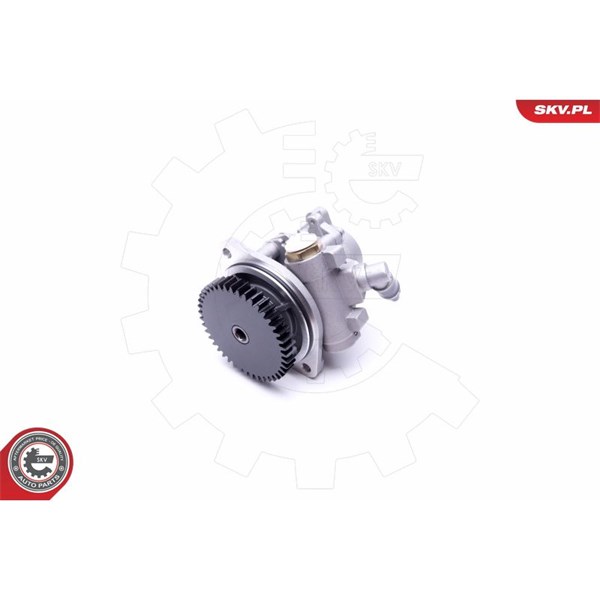 Servopump Esen skv 10SKV289 ESEN SKV