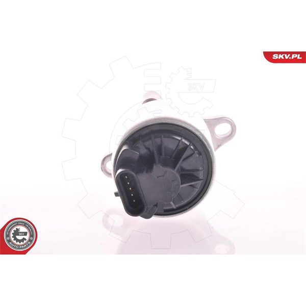 Egr-ventil 12V Esen skv 14SKV002 ESEN SKV