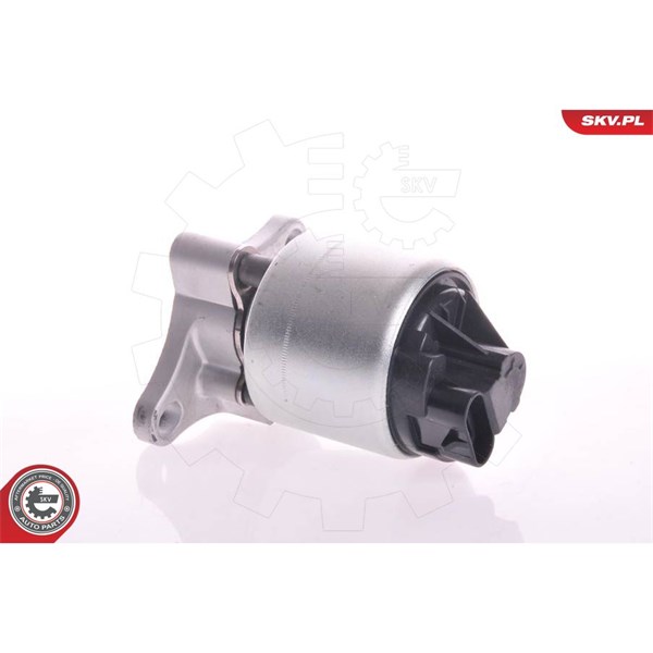 Egr-ventil 12V Esen skv 14SKV002 ESEN SKV