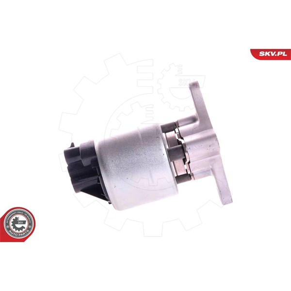 Egr-ventil 12V Esen skv 14SKV002 ESEN SKV