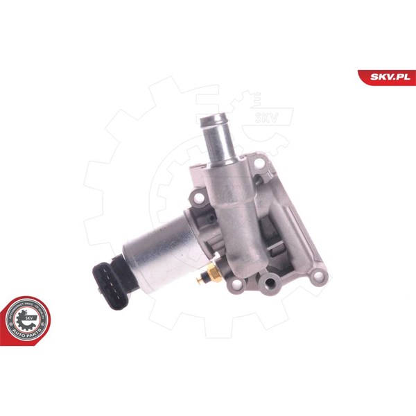 Egr-ventil 12V Esen skv 14SKV003 ESEN SKV