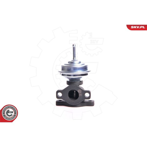 Egr-ventil Esen skv 14SKV005 ESEN SKV