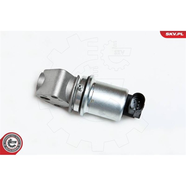 Egr-ventil 12V Esen skv 14SKV007 ESEN SKV