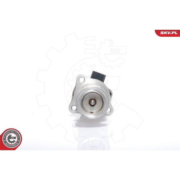 Egr-ventil 12V Esen skv 14SKV009 ESEN SKV