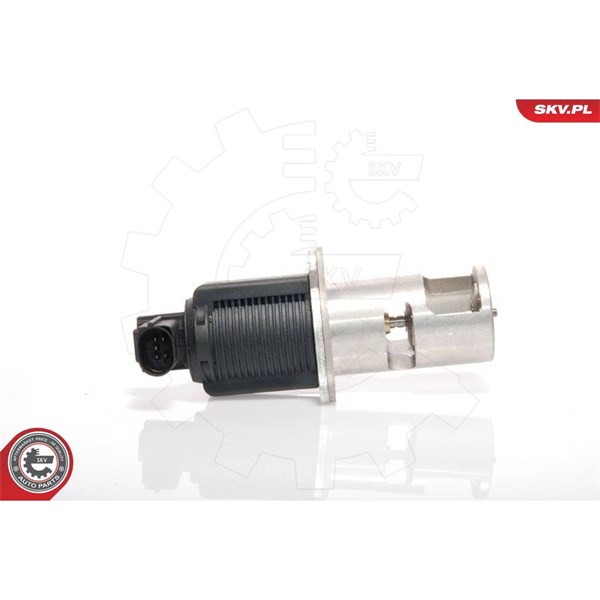 Egr-ventil 12V Esen skv 14SKV009 ESEN SKV