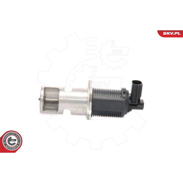 Egr-ventil 12V Esen skv 14SKV009 ESEN SKV