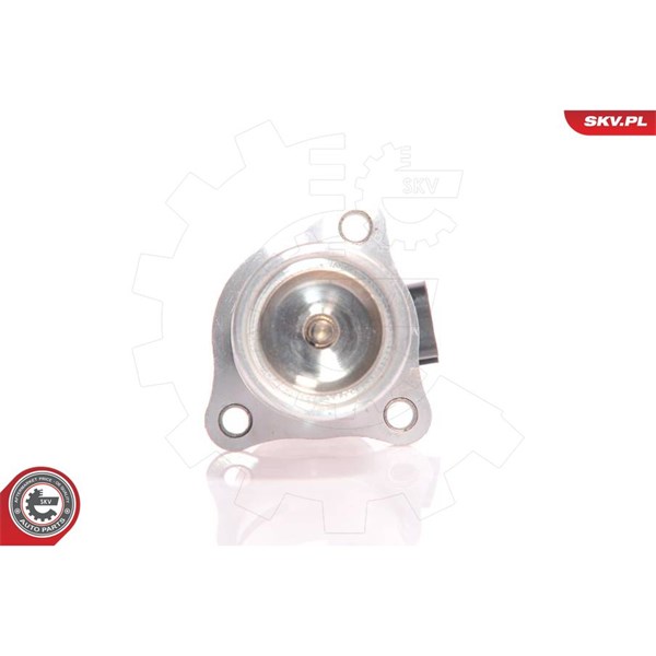 Egr-ventil 12V Esen skv 14SKV010 ESEN SKV