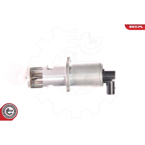 Egr-ventil 12V Esen skv 14SKV010 ESEN SKV