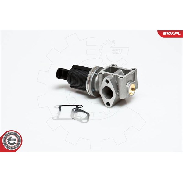 Egr-ventil 12V Esen skv 14SKV012 ESEN SKV
