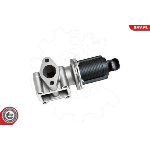 Egr-ventil 12V Esen skv 14SKV012 ESEN SKV