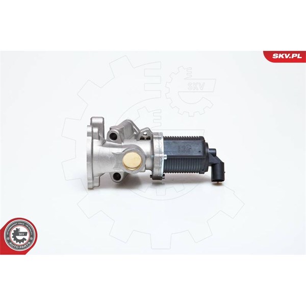Egr-ventil 12V Esen skv 14SKV014 ESEN SKV