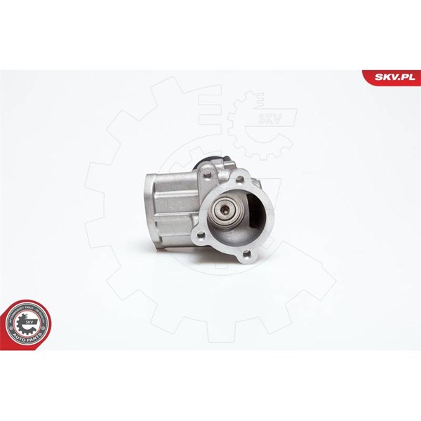 Egr-ventil 12V Esen skv 14SKV014 ESEN SKV