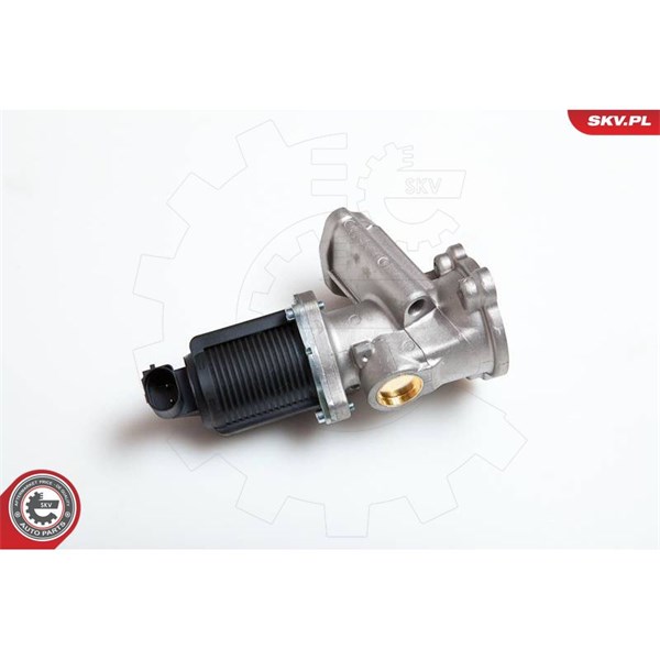 Egr-ventil 12V Esen skv 14SKV014 ESEN SKV