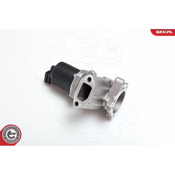 Egr-ventil 12V Esen skv 14SKV014 ESEN SKV