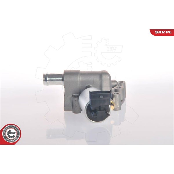 Egr-ventil 12V Esen skv 14SKV015 ESEN SKV