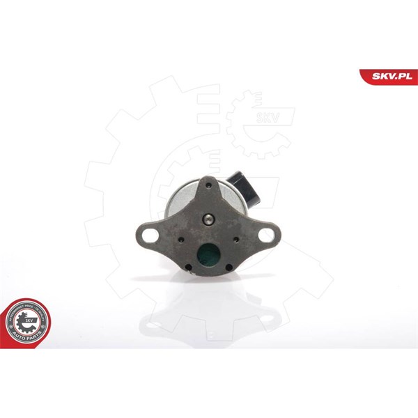 Egr-ventil 12V Esen skv 14SKV017 ESEN SKV