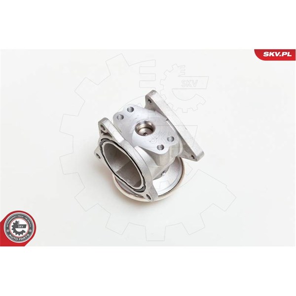 Egr-ventil Esen skv 14SKV019 ESEN SKV