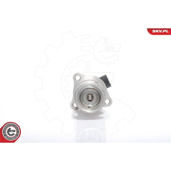 Egr-ventil 12V Esen skv 14SKV021 ESEN SKV