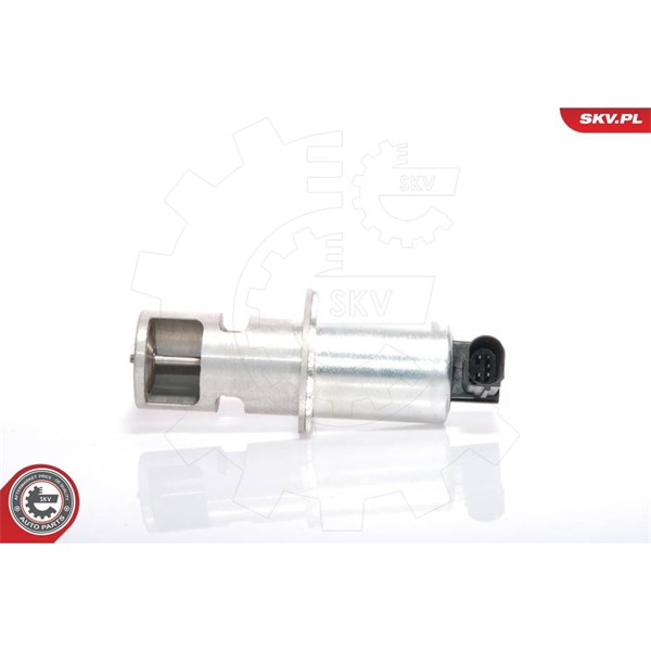 Egr-ventil 12V Esen skv 14SKV021 ESEN SKV