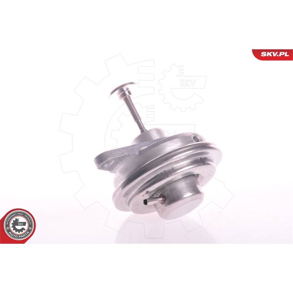 Egr-ventil Esen skv 14SKV022 ESEN SKV