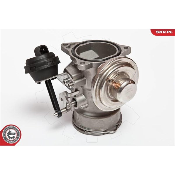 Egr-ventil Esen skv 14SKV024 ESEN SKV