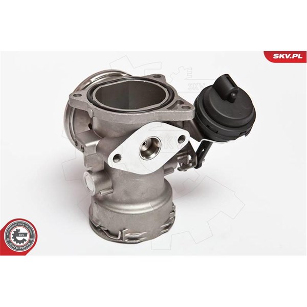 Egr-ventil Esen skv 14SKV024 ESEN SKV