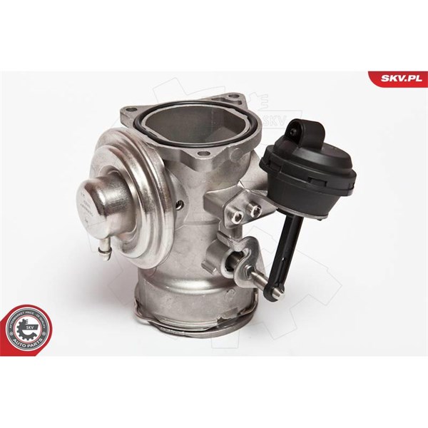 Egr-ventil Esen skv 14SKV025 ESEN SKV