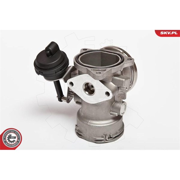 Egr-ventil Esen skv 14SKV025 ESEN SKV