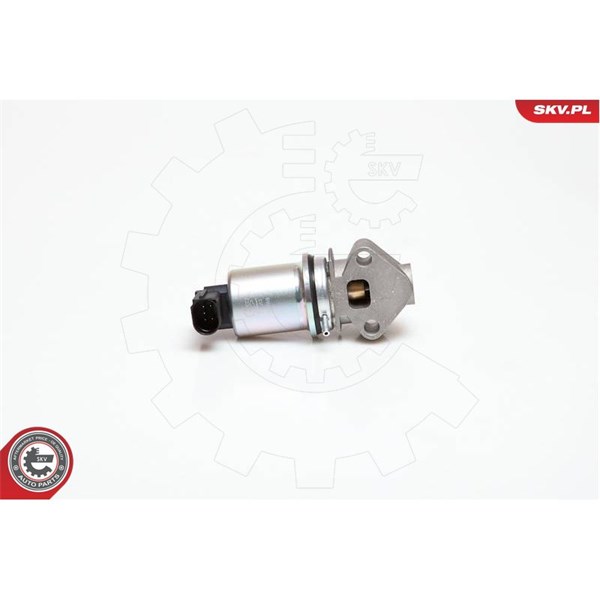 Egr-ventil 12V Esen skv 14SKV029 ESEN SKV