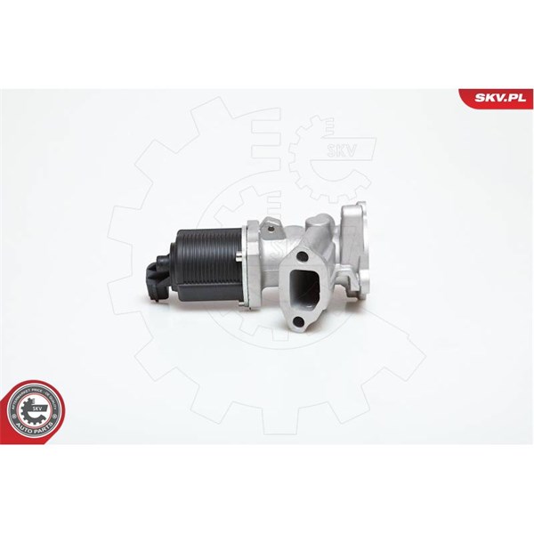 Egr-ventil 12V Esen skv 14SKV031 ESEN SKV