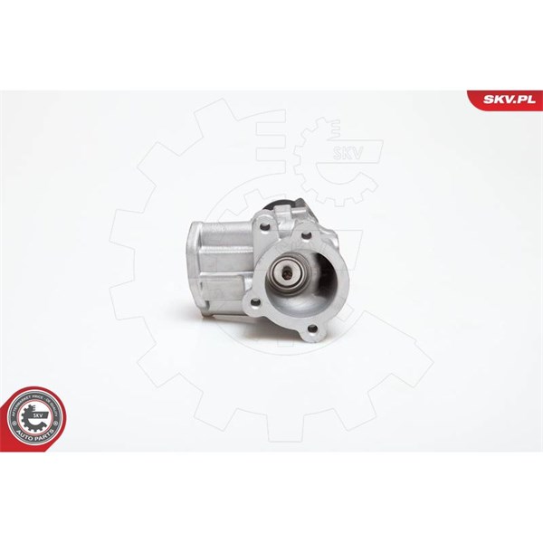 Egr-ventil 12V Esen skv 14SKV031 ESEN SKV