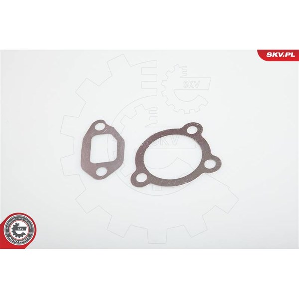 Egr-ventil 12V Esen skv 14SKV031 ESEN SKV