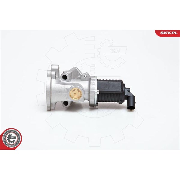 Egr-ventil 12V Esen skv 14SKV031 ESEN SKV