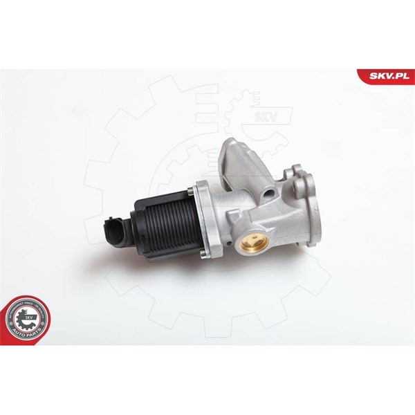 Egr-ventil 12V Esen skv 14SKV031 ESEN SKV