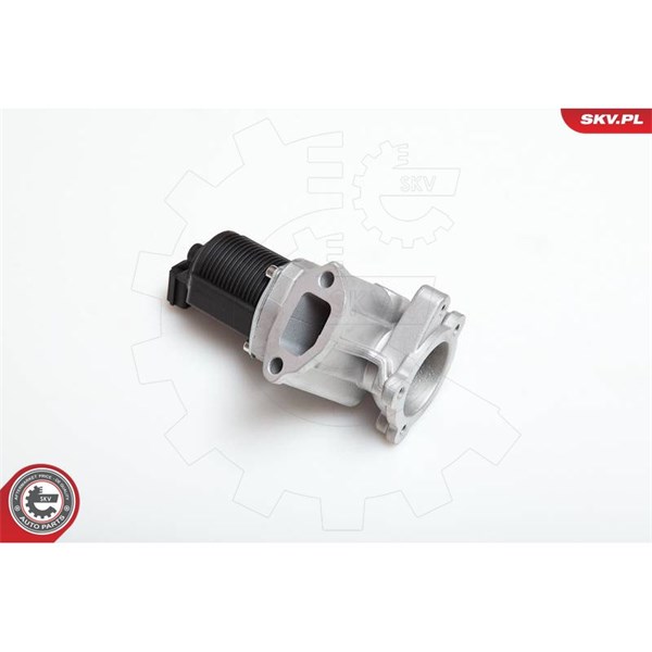 Egr-ventil 12V Esen skv 14SKV031 ESEN SKV