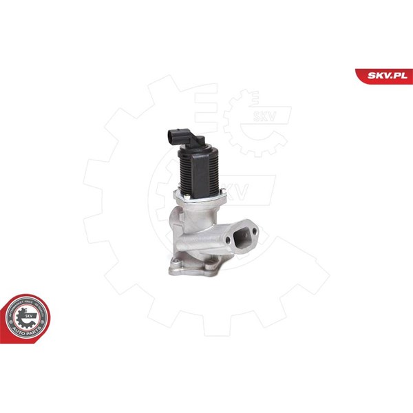 Egr-ventil 12V Esen skv 14SKV031 ESEN SKV