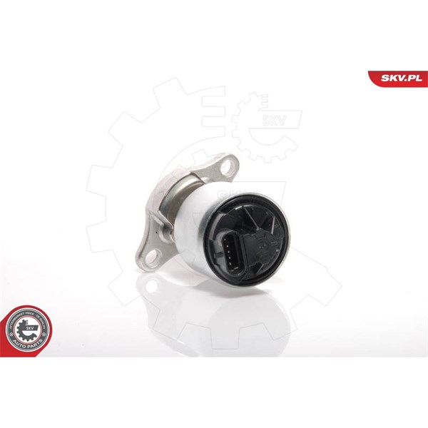 Egr-ventil 12V Esen skv 14SKV035 ESEN SKV