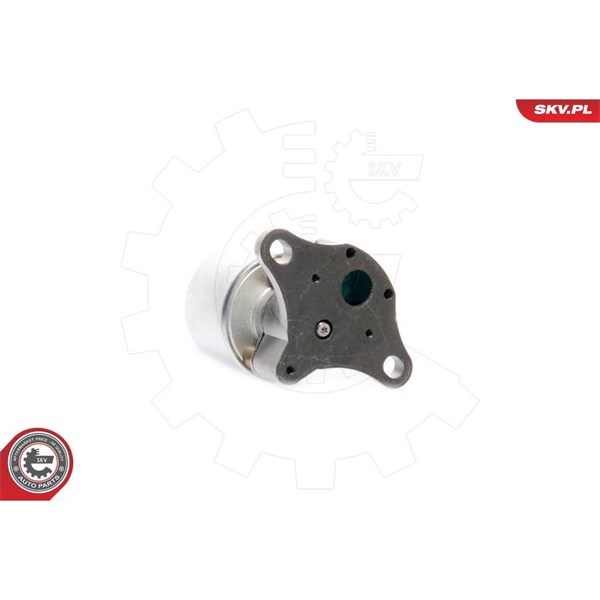 Egr-ventil 12V Esen skv 14SKV035 ESEN SKV