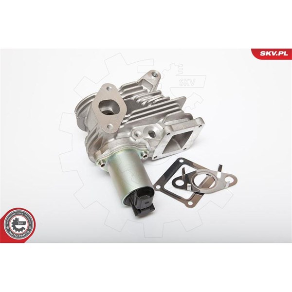 Egr-ventil 12V Esen skv 14SKV036 ESEN SKV